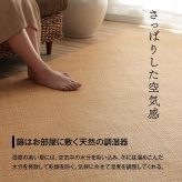 ラグ カーペット 籐 敷 マット 玄関 キッチン 自然素材 アジアン ラタン ひんやり 冷感 リゾート お手入れ簡単 丈夫 耐久性 汚れにくい ハンドメイド インドネシア産 あじろ織り 約60×90cm
