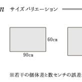 ラグ カーペット 玄関マット トルコ製 ウィルトン織り 約70×120cm 抗菌防臭 消臭機能 へたりにくい