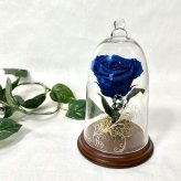 【天然ダイヤモンドの輝き】プリザーブドフラワー バラ 薔薇 ガラスドーム 2色 赤 青 ダイヤモンドローズ 花 ギフト プロポーズ 結婚式 記念日 誕生日 プレゼント 女性 妻 彼女 美女と野獣 サムシングブルー アモローサ 還暦祝い 退職祝い お祝い インテリア オブジェ Lulu＊s ルルズ
