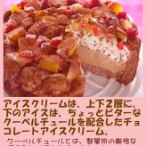 クリスマス生乳チョコアイスケーキ【4～7号】 ［クリスマスケーキ クリスマスデコレーション クリスマスアイスケーキ］