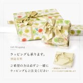 日本製 ナイロン リュック レディース リュックサック 小さめ 軽量 a4 おしゃれ 大人 きれいめ 女性 オシャレ 軽い 黒 ブラック キャメル 茶色 グレー カーキ 緑 背面 ポケット ママ リュック マザーズリュック 通勤 リュック ビジネス リュック 小さい 誕生日 プレゼント