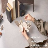 キーフック ステゴサウルス 恐竜 木製 インテリア 雑貨 おしゃれ 壁掛け 鍵かけ 収納 フック 子供部屋 玄関 デスク周り アレンジ可能 天然木 置物 オブジェ ギフト プレゼント セトクラフト