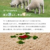 ラグ カーペット ギャッベ 玄関マット ヌメロ 約60×90cm ギャベ GABBEH ウール 羊毛 アクセントマット インテリアマット