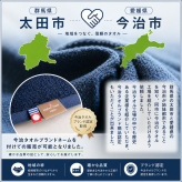 【送料無料】【ギフトラッピング無料】【販売累計15万個突破】「今治タオルの抱かれ枕」肩全体で受け止め包み込まれる安心感☆【日本製】