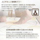 ラグ カーペット 洗えるデザイン玄関マット 45×65cm 【ヴィタム2-Witam2-】