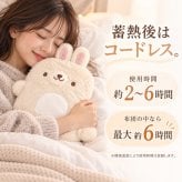 湯たんぽ 充電式 蓄熱式 かわいい 猫 アニマル ぬいぐるみ 繰り返し使える 節電 省エネ 長時間保温 防寒グッズ 電気湯たんぽ 電気あんか 急速充電 コードレス  ギフト プレゼント ひつじ うさぎ ハリネズミ フクロウ