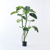 観葉植物 造花 モンステラ BROWN 全高約150cm 大型 フェイクグリーン 高級 本物そっくり リアル おしゃれ インテリア 人工観葉植物 アーティフィシャルグリーン 南国 モダン オフィス 店舗 ホテル 開店祝い 室内 リビング 玄関 風水 フェイク