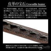 クロコダイル 本革 ワニ ベルト ステンレス 留め具 バックル付き クラウン ホーンバック テイル 一枚物 牛革 フルグレインレザー 専用ボックス 無料ラッピング