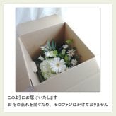 【お悔やみの花】【選べる6色】【Lサイズ】【クール便】【最短翌日お届け】フラワーアレンジメント 送料込み 日時指定可 おまかせ制作  | お悔やみアレンジ お供え花  法事 法要 命日 四十九日 葬儀 枕花