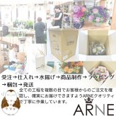 【BlackGemハロウィンのフラワーアレンジメント】 即日発送　レビューを書いて送料無料　生花 アレンジ 誕生日に 色を選んで 花はおまかせ ワンサイドタイプ 生花 アレンジメント プレゼント 誕生日 結婚祝い 記念日 お見舞 送別 新築祝い 敬老の日 ウエディング  御祝 出産 ホワイトデー  お歳暮