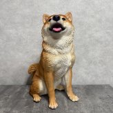 置物 お座りにっこり柴犬 大 グッズ 高さ52.5cm woobia ウービア 大きい 大型 おしゃれ ガーデン インテリア オブジェ 可愛い プレゼント 北欧 玄関 雑貨 動物 モダン 庭 ギフト 屋外 家 リアル 玄関先 ガーデンオーナメント ガーデニング 犬 いぬ 柴