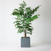 観葉植物 造花 クジャクヤシ BROWN 全高約210cm 大型 フェイクグリーン 高級 本物そっくり リアル おしゃれ インテリア 人工観葉植物 アーティフィシャルグリーン オフィス 店舗 ホテル 開店祝い 室内 リビング 玄関 風水 ヤシの木 フィッシュテールパーム