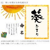 はらぺこあおむし アルバムしかけ絵本 「たんじょうものがたり」 | エコー写真 保存 エコーアルバム おたんじょうきろく 写真 赤ちゃん ベビー