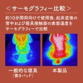 極暖 あったか続く敷きパッド 100×200cm シングルサイズ 敷きパッド シングル 洗える 冬用 グラフェン 中綿 蓄熱 保温 82.7% 起毛 敷パッド 敷きパット ベッドパッド マットレスカバー ゴムバンド付き 暖か あったか寝具