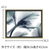 X RAY キャンバスアート エバーラスティング フラワーM XR-12505 送料無料 アートフレーム 花 葉っぱ 葉 X線 絵画 アート インテリア