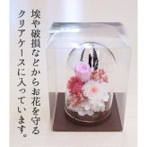 【動物病院 ペットサロン御用達】ペット お供え 仏壇 仏花 四十九日 御供 仏花 法事 亡くなった お悔み花 プリザーブドフラワー 猫 犬 ペット お供え 花 仏花 ガラスドーム 線香 ろうそく 仏花 法要 供養 水やり不要 ペット用仏具 お悔やみ クリアケース付
