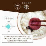 【特選紀州南高梅 】【しそ漬梅うす塩味250g×2パック（塩分約9％）】【紀州産】【調味梅干】食べやすい減塩のしそ漬梅干し つけもの 梅干し ギフト プレゼント 内祝