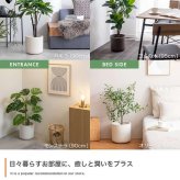 【高さ90cm】光触媒人工観葉植物 モンステラ 幅50cm×奥行50cm×高さ90cm リビング ダイニング 天然木 お部屋に気軽に飾れて空間を美しく彩るフェイクグリーン 本物の植物のようなリアルな質感とインテリアに馴染む風合いが魅力です