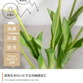 【高さ40cm】光触媒人工観葉植物 チューリップ 幅18cm×奥行18cm×高さ40cm お部屋に気軽に飾れて空間を美しく彩るフェイクグリーン 本物の生花のようなリアルな質感とインテリアに馴染む風合いが魅力です ホワイト ピンク オレンジ
