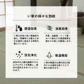 夏ラグ 夏用カーペット い草 上敷き カーペット 制菌 抗菌防臭 消臭 小林製薬KOBA-GUARD 江戸間3畳(約176×261cm）
