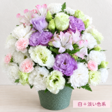 ご希望の色合いで選べる カラーセレクトアレンジメント 高さ34cm 生花 フラワーアレンジメント 花ギフト フラワーギフト 誕生日 お祝い お見舞い 送別 季節行事 お供え お悔やみ 手作り 鮮度重視 送料無料【北海道・九州・四国・中国・沖縄・離島は配送不可】