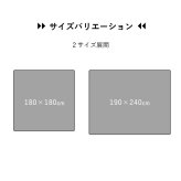 ラグ カーペット おしゃれ 長方形 オールシーズン 滑り止め 薄手 ギャッベ ベージュ 約190×240cm 新生活