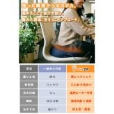 【ラッピング無料】ヒーター式 ドーナツ円座クッション 温熱 3段階温度調整 タイマー付き USB Type-A 低反発 産前産後 デスクワーク ギフト 妊婦