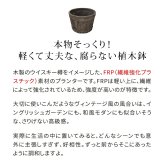 バレル型プランター frp製 小 EBP-24DBR 直径24 高さ17 8号 軽量 アンティーク 円形 樽型 深型 植木鉢 鉢 グラスファイバー プランターカバー ガーデン おしゃれ 庭 ベランダ 屋外 家庭菜園 新生活