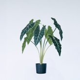 観葉植物 造花 アロカシア BROWN 全高約61cm 卓上・小型 フェイクグリーン 本物そっくり おしゃれ インテリア 人工観葉植物 アーティフィシャルグリーン オフィス 店舗 ホテル 開店祝い 室内 ミニ クワズイモ フェイク