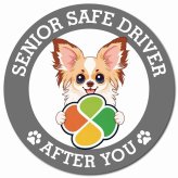 カーサイン 高齢者マーク SENIOR SAFE DRIVER パピチワ マグネット 強力 直径13cm 肉球 日本製 車 ステッカー