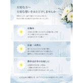 お線香 ろうそく ギフト カメヤマ 吟撰 仙年香 絵ろうそくセット 桐箱入り 梅の絵ろうそく 蜜蝋 少煙 のし対応 熨斗名入れ無料 オリジナル胡蝶蘭熨斗 お供え 御供 贈答用 ご進物 法事 法要 命日 月命日 初盆 新盆 お盆 お彼岸 四十九日 一周忌 三回忌 お悔やみ 喪中見舞い 寒中見舞い お歳暮 御仏前 ご仏前 仏壇 故人 両親 祖父 祖母 親戚 知人 上品 おしゃれ 日本製