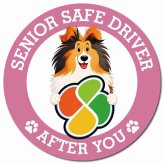 カーサイン 高齢者マーク SENIOR SAFE DRIVER シェットランドシープドッグ マグネット 強力 直径13cm 肉球 日本製 車 ステッカー