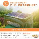 害獣対策 ソーラー充電式害獣駆除機 ファミラ 超音波 赤外線センサー ストロボ アラーム 13.5～45.5kHz 感知範囲最大8～9m 簡易防水 猫よけ 鳥よけ タヌキ ハクビシン 動物よけ 畑 庭 家庭菜園 駐車場 ガレージ 屋外