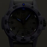 メンズ ギフトセット ルミノックス レザーバック シータートル 0300 シリーズ クォーツ 電池式 腕時計 ブランド メンズ LUMINOX 0307.WO アナログ ホワイト 白