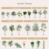 【高さ55cm】光触媒人工観葉植物 パキラ 幅35cm×奥行35cm×高さ55cm コンパクト 天然木 お部屋に気軽に飾れて空間を美しく彩るフェイクグリーン 本物の植物のようなリアルな質感とインテリアに馴染む風合いが魅力です