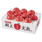 送料無料 お歳暮　 青森県産 樹上完熟サンふじりんご H-A4S ※11/2以降の出荷予定となります。北海道・沖縄・離島は配達不可 全国送料無料 お歳暮ギフト 早割 お歳暮2026 御歳暮 御見舞 お見舞い お取り寄せ グルメスイーツ