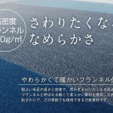 ラグ カーペット マット 3畳 フランネル 約200×250cm（ホット 対応）
