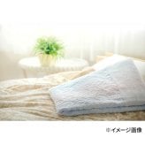 今治 プリマクラッセ タオルケット ギフトセット 2枚入 寝具 コットン 綿100％ 夏用 掛け物【北海道・沖縄県・離島 配送不可】
