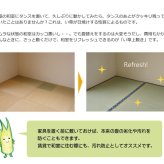 夏ラグ 夏用カーペット 純国産 い草 上敷き カーペット 双目織 『ほほえみ』 江戸間3畳(約176×261cm）