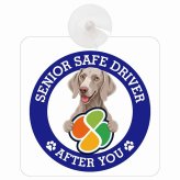 カーサイン 高齢者マーク SENIOR SAFE DRIVER ワイマラナー 車内用 吸盤タイプ 収れん火災防止タイプ 肉球 日本製 車 ステッカー
