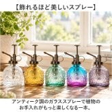 霧吹き 観葉植物 通販 スプレーボトル スプレー容器 鉢植え 水やり 花 植物 多肉植物 かわいい おしゃれ ガーデニング 園芸 掃除 アンティーク調 レトロ 室内 屋外 オシャレ インテリア 散水用品