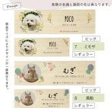  遺毛ケース 桐 写真入り ペット 毛 ひげ 髭 ヒゲ 犬 猫 鳥 ハムスター うさぎ 名入れ フルカラー メモリアルケース メッセージ 愛犬 愛猫