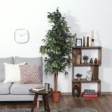 ガーデン エクステリア 観葉植物 フィカス １１２４ Ａ フェイクグリーン 植物 緑 グリーン 癒し 植木 インテリア ガーデニング おしゃれ カフェ リビング プランター ギフト プレゼント 贈り物 オフィス 会社 枯れない 簡単 手入れ 人気 樹木
