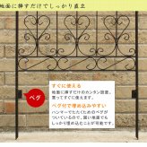 ガーデン エクステリア アイアンローズフェンス220 ハイタイプ 2枚組 フェンス アイアン ガーデニング 枠 柵 仕切り 目隠し 境目 クラシカル アンティーク トレリス ベランダ つる 薔薇 バラ 朝顔 園芸 ラティス つるバラ 庭誘引 新生活