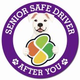 カーサイン 高齢者マーク SENIOR SAFE DRIVER ドゴアルヘンティーノ マグネット 強力 直径13cm 肉球 日本製 車 ステッカー