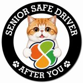 カーサイン 高齢者マーク SENIOR SAFE DRIVER エキゾチックショートヘア マグネット 強力 直径13cm 肉球 日本製 車 ステッカー