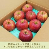 13度糖度保証 長野県産りんご シナノスイート プレミアム 贈答用 果物 フルーツ お取り寄せ 産地直送 【送料無料(一部地域除く)】