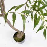 観葉植物 造花 マホニア コンフューサ BROWN 全高約150cm 大型 フェイクグリーン 本物そっくり おしゃれ インテリア 人工観葉植物 アーティフィシャルグリーン オフィス 店舗 ホテル 開店祝い 室内 ナリヒラヒイラギナンテン フェイク