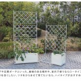 ガーデン エクステリア プランター台付フェンス ロータイプ アーガイル フェンス ゲート 扉 アイアン ガーデニング 枠 柵 仕切り 目隠し 境目 ベランダ つる 薔薇 バラ 朝顔 園芸 ラティス つるバラ 庭 誘引 屋外 新生活