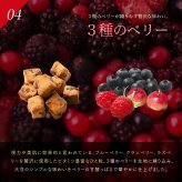 ソイキューブ【選べる種類とサイズ】 雑穀米本舗 | (チョコ/アーモンド/ホワイトチョコ/3種のベリー) SOYCUBE お菓子 おからパウダー 大豆粉 グルテンフリー 小麦不使用 低GI 低糖質 糖質制限 小腹サポート 食物繊維